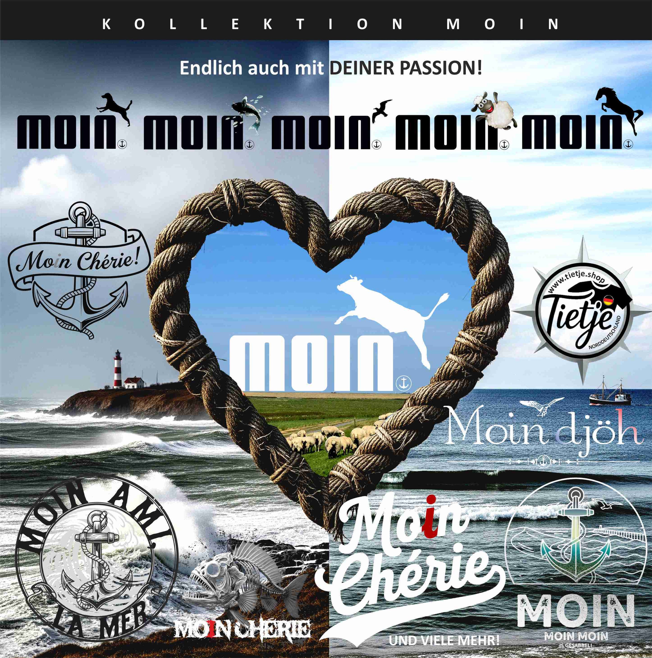 Die Moin-Kollektion
