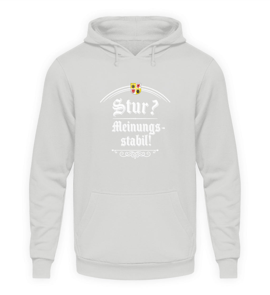 Sport Grey-23