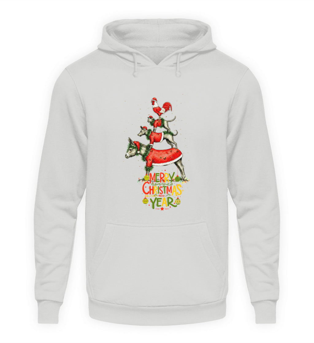 Sport Grey-23